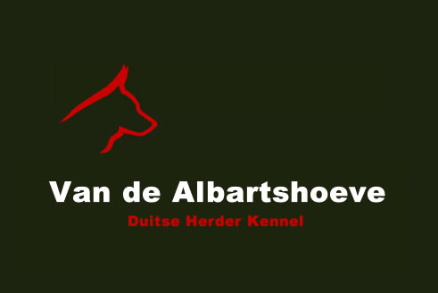 Xary vom Suentelstein